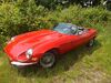 Jaguar E-Type velbert