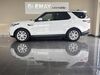 Land Rover Discovery hoehr-grenzhausen