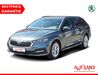 Skoda Octavia muehlstedt