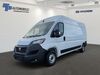 Fiat Ducato dankmarshausen