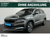 Skoda Karoq meinborn