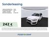 Cupra Leon Nienburg (Saale)