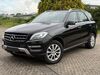 Mercedes-Benz ML 250 gau-odernheim