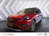 Opel Grandland (X) dittelsheim-hessloch