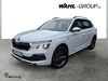 Skoda Kamiq ober-hilbersheim
