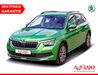 Skoda Kamiq Eisenhüttenstadt