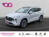 Hyundai SANTA FE zeltingen-rachtig