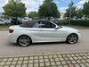 BMW 225 Rhodt unter Rietburg