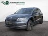 Skoda Karoq biedershausen