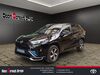 Toyota RAV 4 walhausen