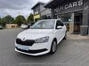 Skoda Fabia bueddenstedt