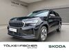 Skoda Kodiaq meinborn
