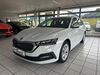 Skoda Octavia kreis|suedliche-weinstrasse