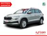 Skoda Karoq bueddenstedt