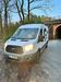 Ford Transit wunstorf