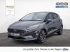 Ford Fiesta hottelstedt