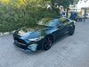 Ford Mustang saalow