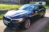 BMW 530 artlenburg