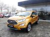 Ford EcoSport stumsdorf