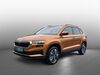 Skoda Karoq ober-hilbersheim