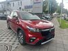 Suzuki (SX4) S-Cross enzkloesterle