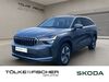 Skoda Kodiaq meinborn