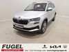 Skoda Karoq kreis|tuebingen