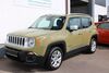 Jeep Renegade gau-odernheim