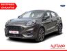 Ford Puma harzungen