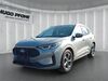 Ford Kuga Mankmuß