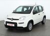 Fiat Panda schoena-kolpien