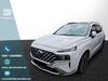 Hyundai SANTA FE schoena-kolpien