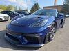 Porsche Cayman dankmarshausen