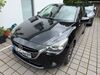 Mazda 2 suedergellersen