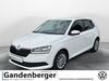 Skoda Fabia Herschbach (Oberwesterwald)