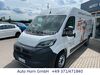 Peugeot Boxer stumsdorf