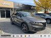 Alfa Romeo Tonale kreis|suedliche-weinstrasse