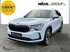 Skoda Kodiaq dinslaken