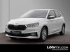 Skoda Fabia dorn-duerkheim
