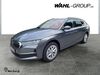 Skoda Octavia ober-hilbersheim