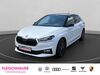 Skoda Fabia kreis|rhein-sieg-kreis