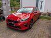 Kia ceed / Ceed Kreis|Südliche Weinstraße