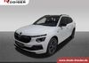 Skoda Kamiq kreis|tuebingen