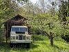 Land Rover Serie III krauchenwies