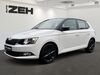 Skoda Fabia trechtingshausen