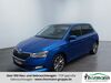 Skoda Fabia huelseburg