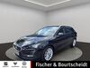 Seat Leon ober-hilbersheim
