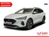 Ford Focus schoena-kolpien