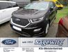 Ford Edge wattmannshagen
