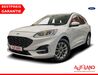 Ford Kuga kreis|suedliche-weinstrasse